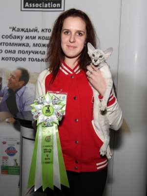 Выставка кошек 'Осенний Кэт-Салон' 30 ноября-1 декабря 2013., WCF-ринги 3090
